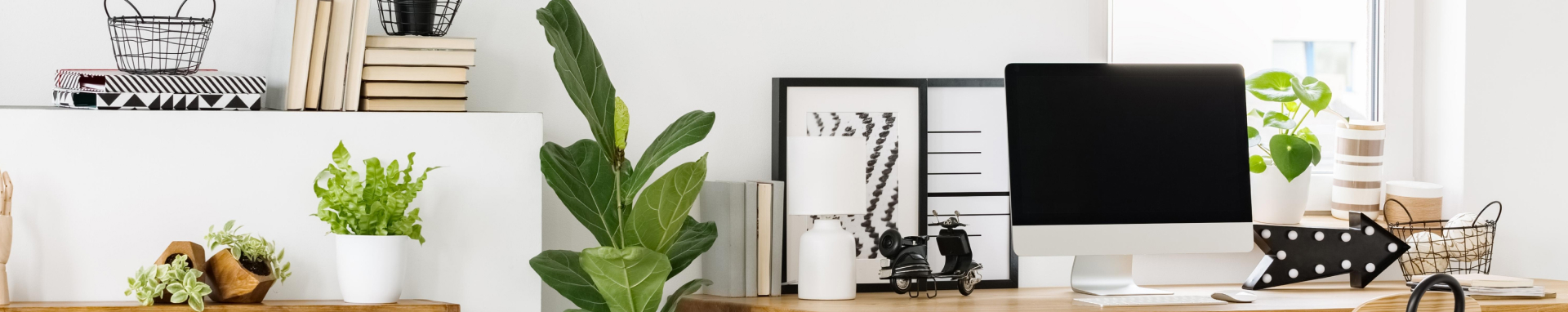 ผลิตภัณฑ์